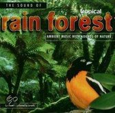Sound Of Rain Forest