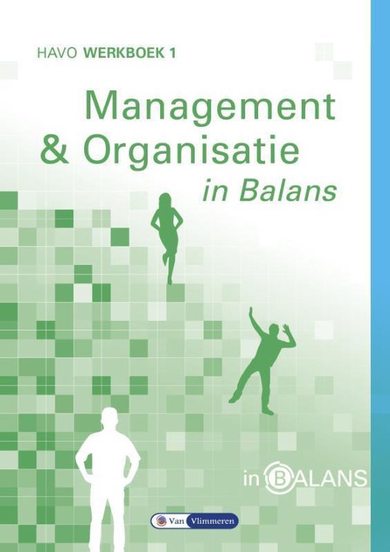 Management en Organisatie in Balans Havo Werkboek 1 - Sarina van Vlimmeren | Northernlights300.org
