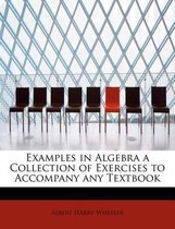 Examples in Algebra a Collection of Exercises to Accompany Any Textbook