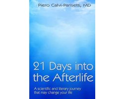 Omslag van 21 Days into the Afterlife