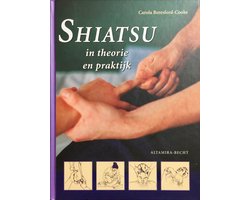 Shiatsu In Theorie En Praktijk