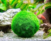 ⚡️ Mosballetje  voor in aquarium - 30mm diameter - decoratie voor je aquarium - voor inheemse en exotische vissen