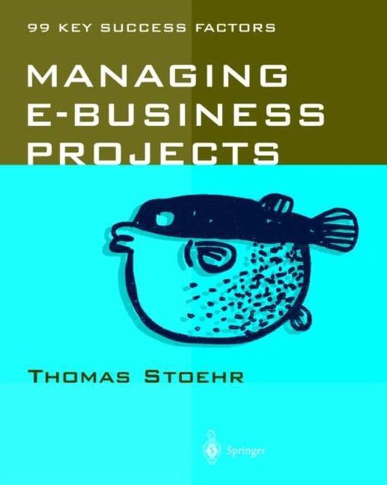 Managing e-business Projects - cover