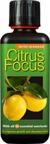 Citrus Focus - 1 l | Perfect samengestelde voeding voor uw citrus-planten