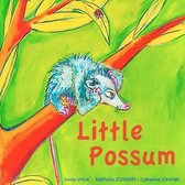 Little Possum