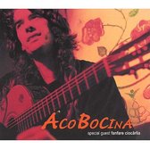 Aco Bocina and Fanfare Ciocarlia