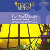 Bach Edition: Cantatas BWV 33, BWV 56, BWV 37