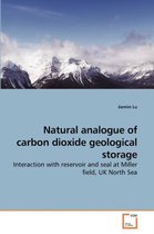 Natural analogue of carbon dioxide geological storage