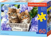 Castorland Legpuzzels Cute Kittens Karton 60 Stukjes