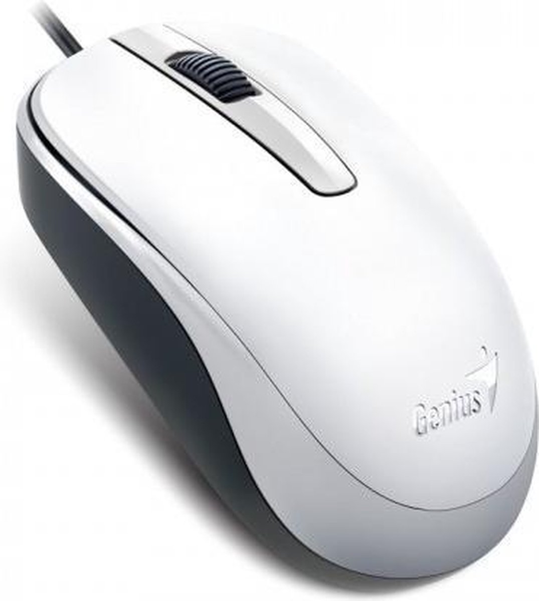 Genius DX-120 muis USB Type-A Optisch 1000 DPI Ambidextrous