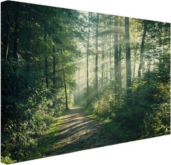 tot nu ongeluk koud Een dichtbegroeid bos Canvas 180x120 cm - Foto print op Canvas  schilderij... | bol.com