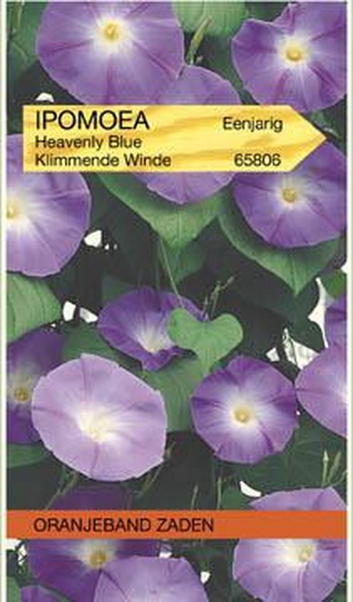 Ipomoea, Klimmende Winde Heavenly Blue