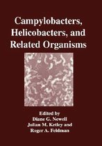 Campylobacters, Helicobacters, and Related Organisms