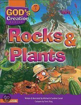 Rocks and Plants