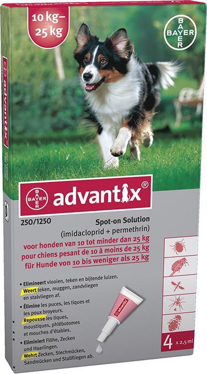 Betrokken muis pakket Advantix 250/1250 - Hond - 10 tot 25 kg - 4 pipetten x 2,5 ml | bol.com