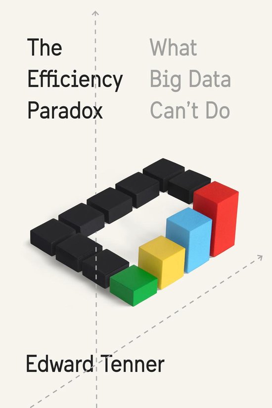 The Efficiency Paradox - cover