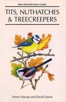 Tits, Nuthatches and Creepers