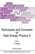 Techniques and Concepts of High Energy Physics X