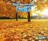 What Can You See in Fall? (Seasons)