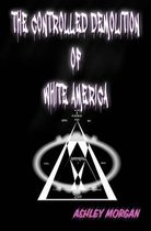 The Controlled Demolition of White America