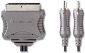 Bandridge VL7582 video kabel adapter 1,5 m SCART (21-pin) 2 x RCA Grijs
