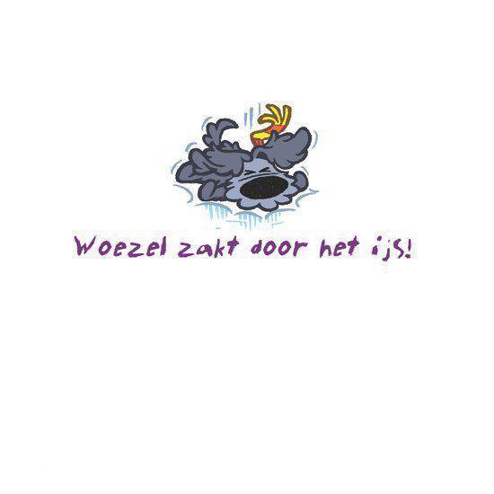 Woezel En Pip 4 Hier Is De Tovertuin Met Dvd