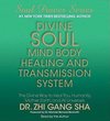 Divine Soul Mind Body Healing and Transmission System