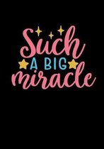 Such A Big Miracle