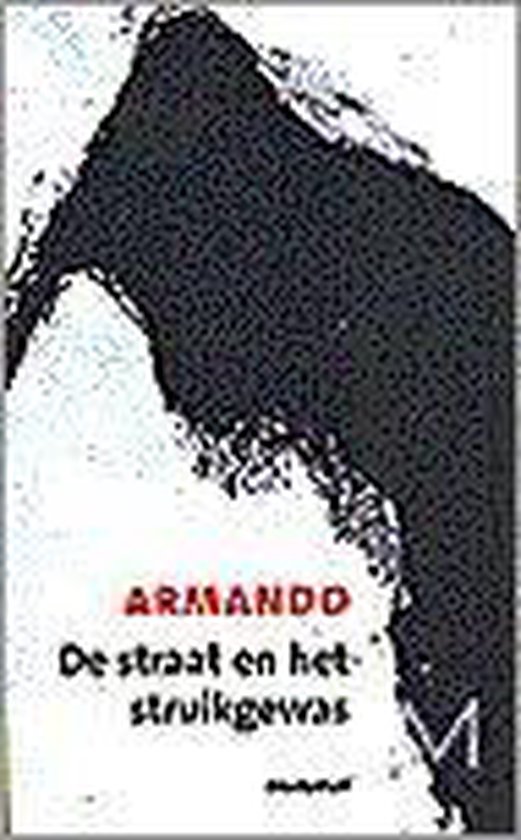 Straat En Het Struikgewas