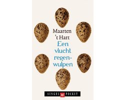 Omslag van Een vlucht regenwulpen