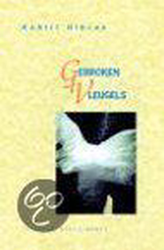 Cover van het boek 'Gebroken vleugels'
