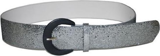 De daadwerkelijke tegel verkorten Zilveren glitter riem 110 cm | bol.com