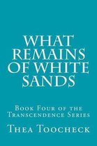What Remains of White Sands