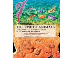 The Rise of Animals - Evolution and Diversification of the Kingdom Animalia