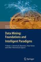 Data Mining: Foundations and Intelligent Paradigms: VOLUME 2