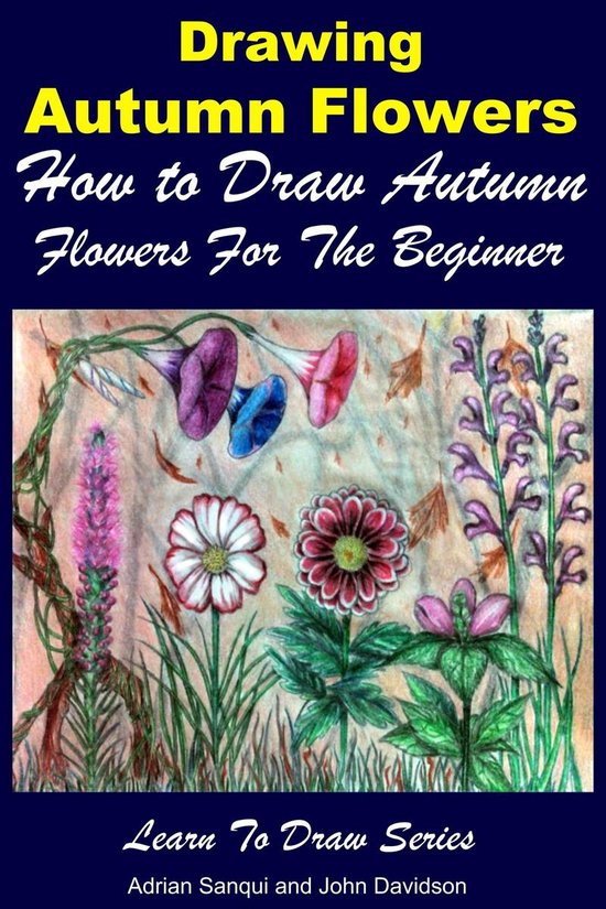 Learn to Draw Drawing Autumn Flowers How to Draw Autumn Flowers For