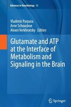 Glutamate and ATP at the Interface of Metabolism and Signaling in the Brain