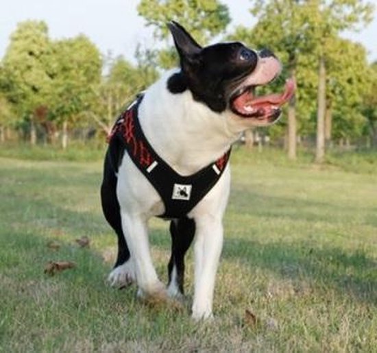 in rood/zwart - Nylon hondentuig - Tuig voor honden - Anti trek - Maat M | bol.com