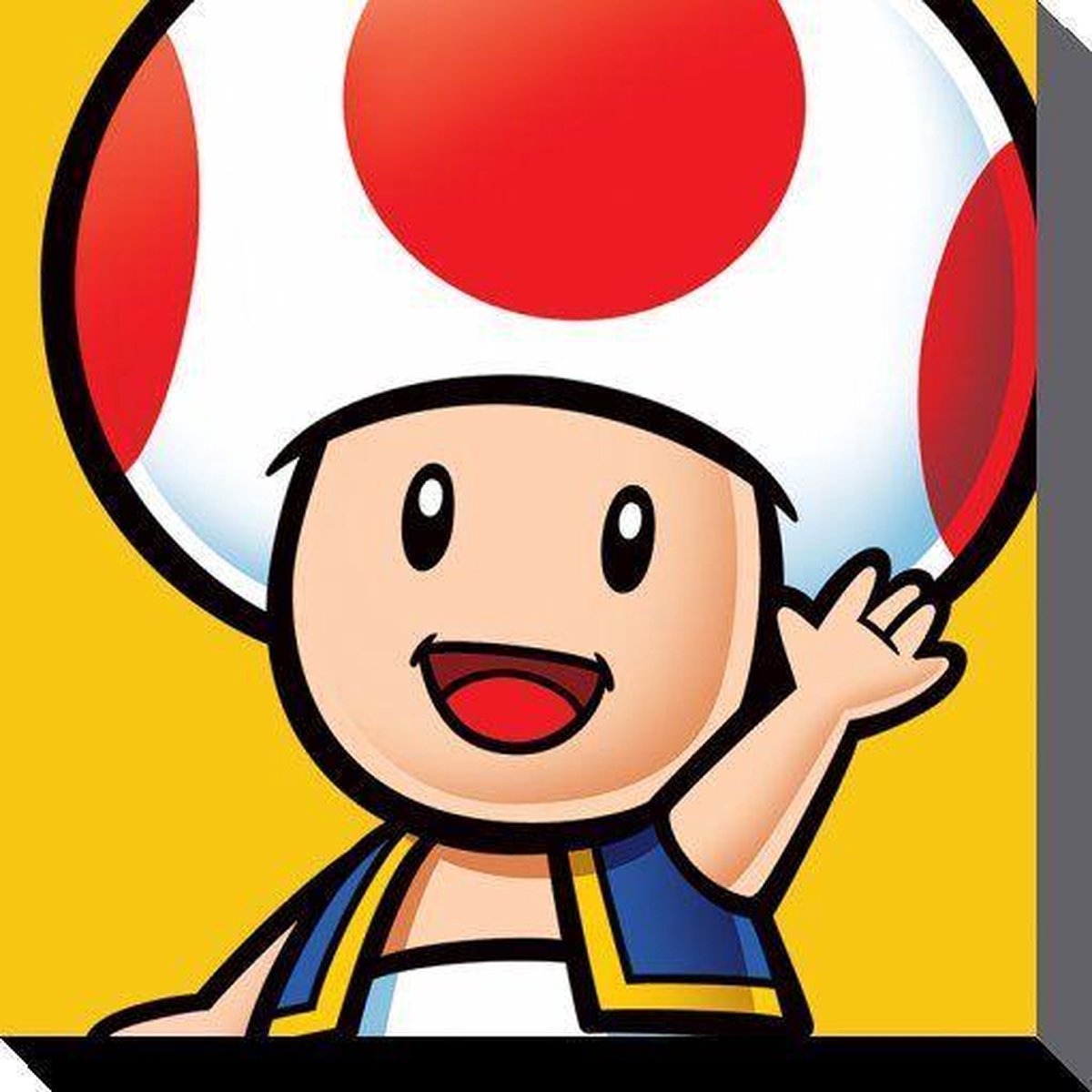 Collector Print Nintendo Canvas - Super Mario Toad - 40x40 cm | bol