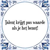 Tegeltje met Spreuk (Tegeltjeswijsheid): Talent krijgt pas waarde als je het benut! + Kado verpakking & Plakhanger