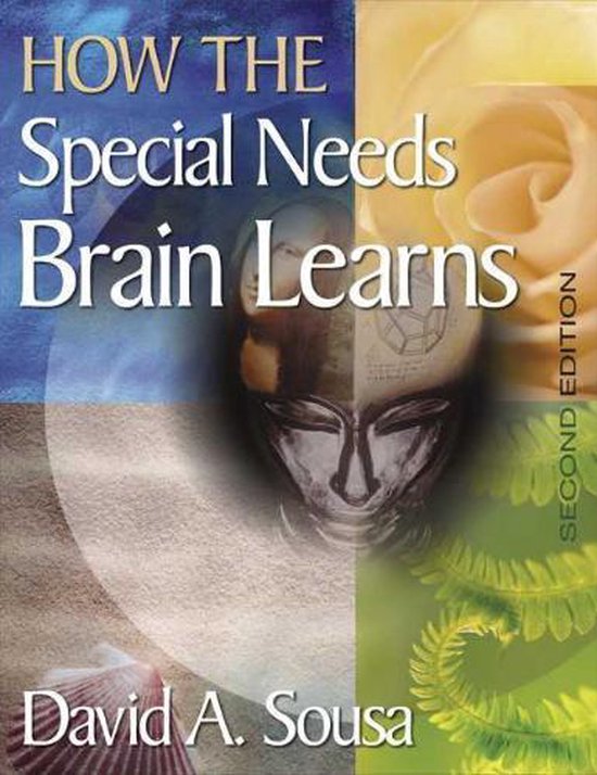 How the Special Needs Brain Learns - cover