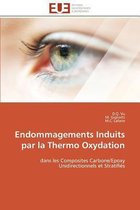 Endommagements Induits par la Thermo Oxydation