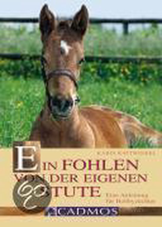 Ein Fohlen Von Der Eigenen Stute - cover