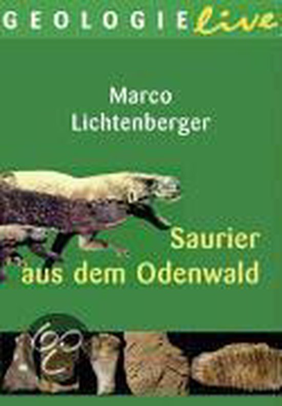 Saurier aus dem Odenwald, Marco Lichtenberger | 9783938973042 | Boeken ...