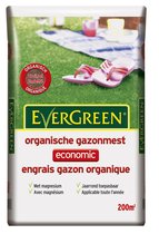 Evergreen Gazonmest Economic