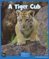 A Tiger Cub