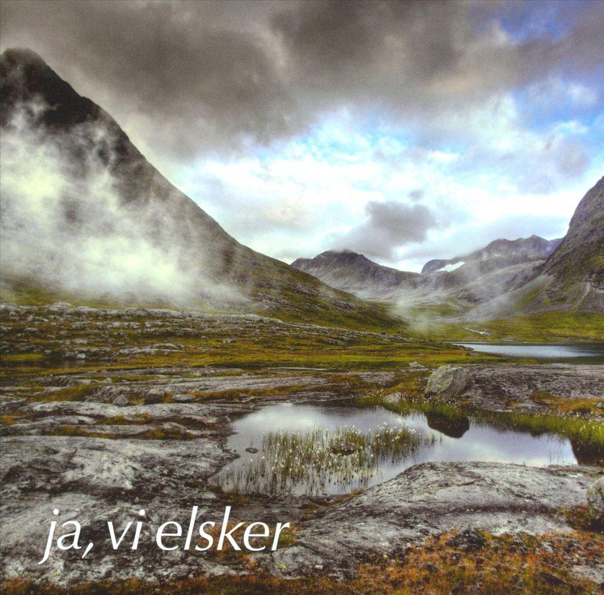 Ja, vi elsker