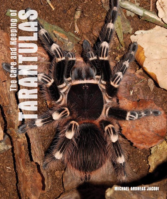 Care and Keeping of Tarantulas - cover