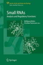 Small RNAs