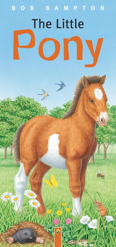 Bob Bampton - The Little Pony - cover